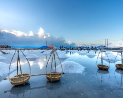 Vietnam Agriculture update 2026 Vietnam Agriculture update 2026