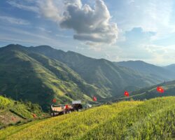 Vietnam food market report - JETRO - B&Company Vietnam food market report - JETRO - B&Company