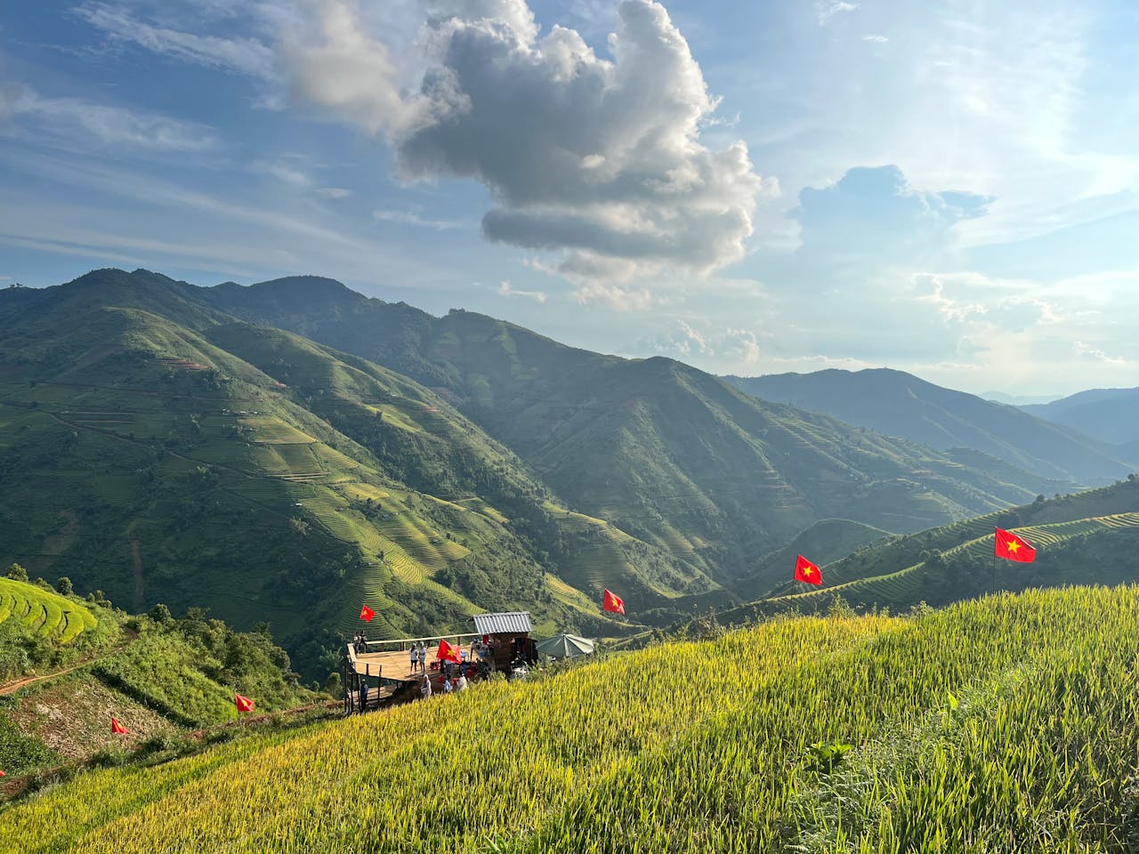 Vietnam food market report - JETRO - B&Company